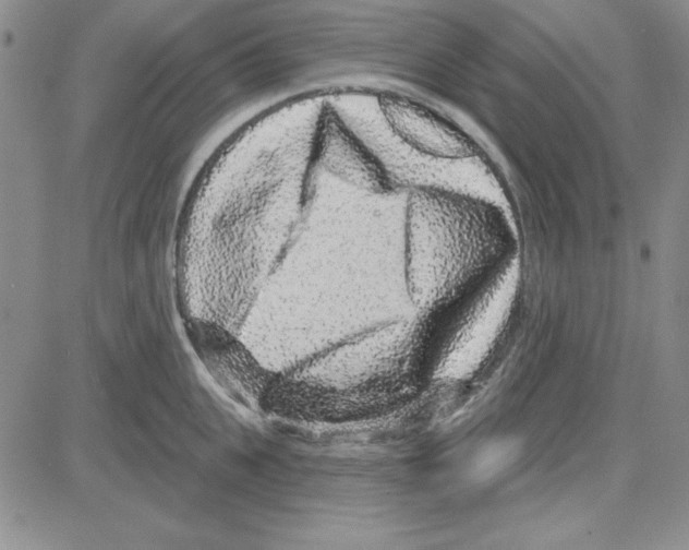 X0000080100951200701051301