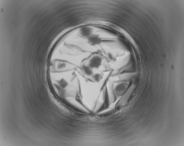 X0000080100955200701051301