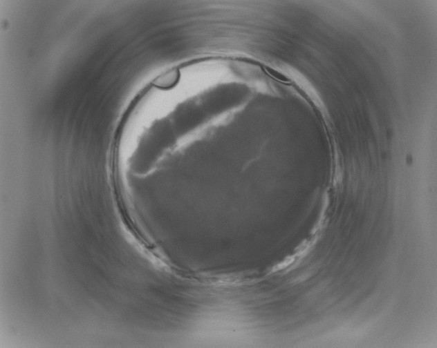 X0000080100958200701051301
