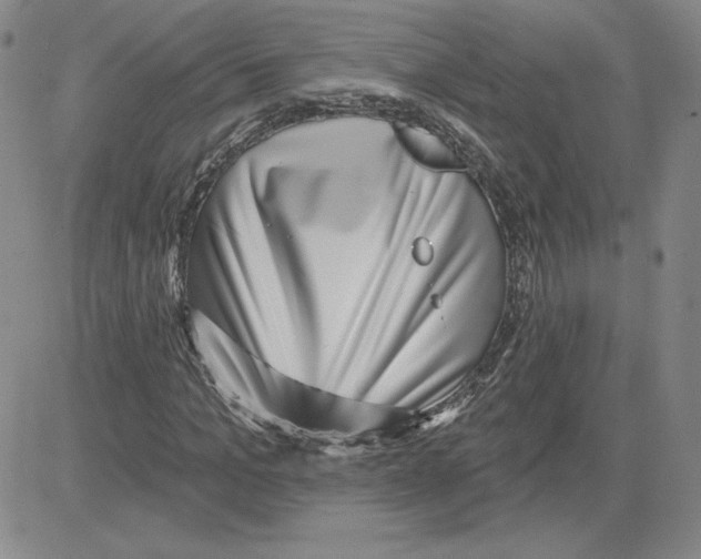 X0000080100965200701051301