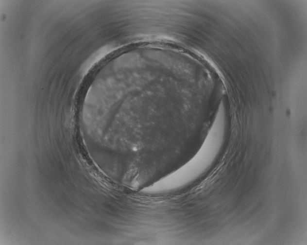 X0000080100975200701051300