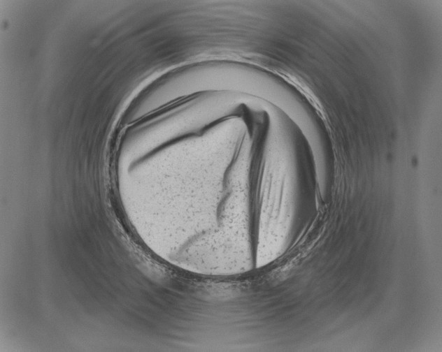 X0000080100976200701051300