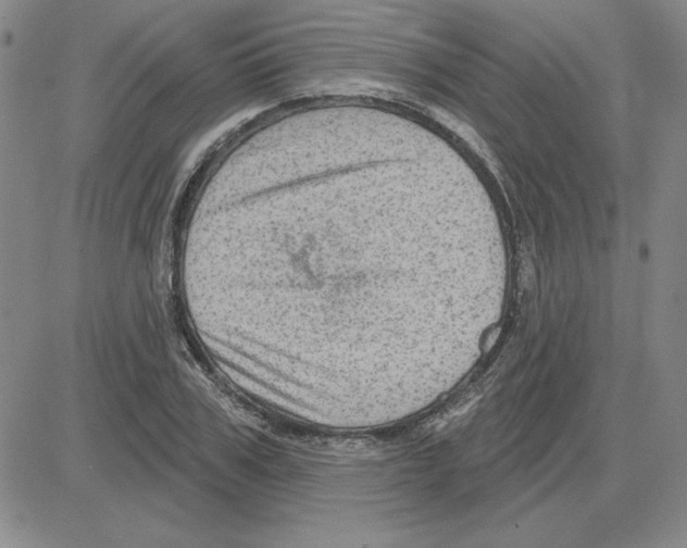 X0000080100979200701051300
