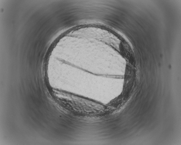 X0000080100983200701051300