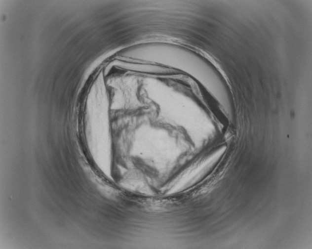 X0000080100987200701051300