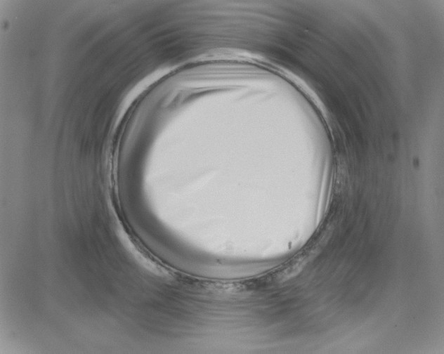 X0000080101003200701051300