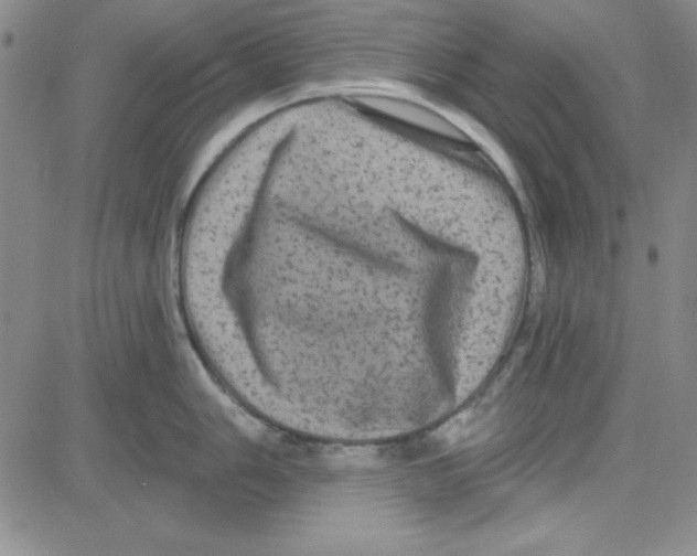 X0000080101006200701051300