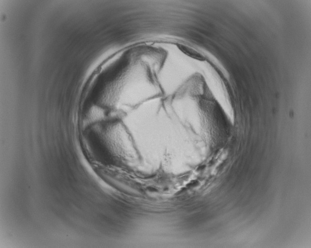 X0000080101007200701051300