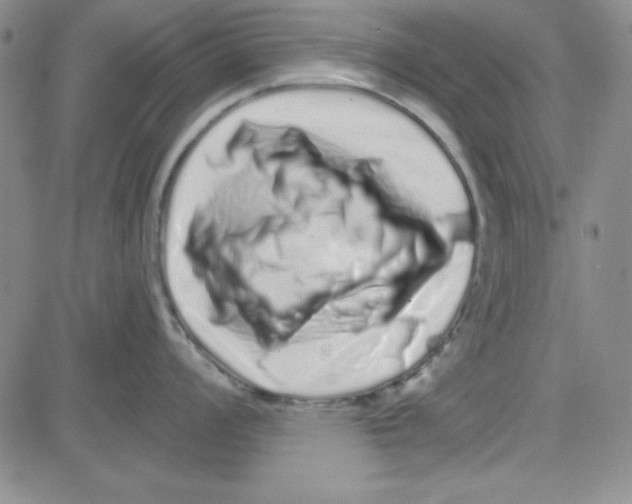 X0000080101008200701051300