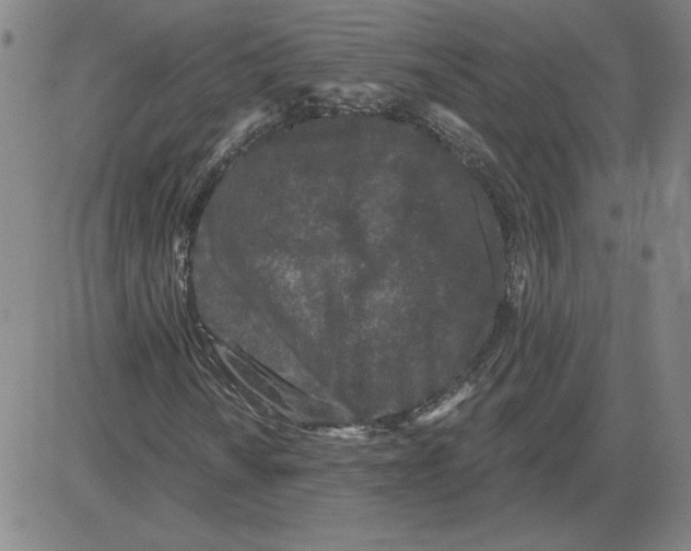 X0000080101010200701051259