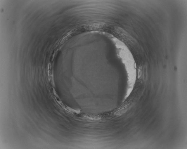 X0000080101011200701051259