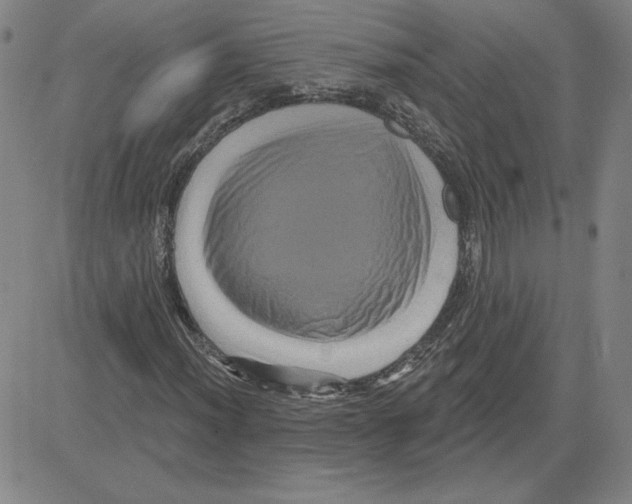 X0000080101012200701051259