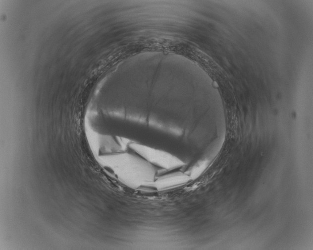 X0000080101013200701051259