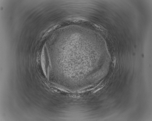 X0000080101014200701051259