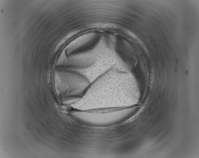X0000080101017200701051259
