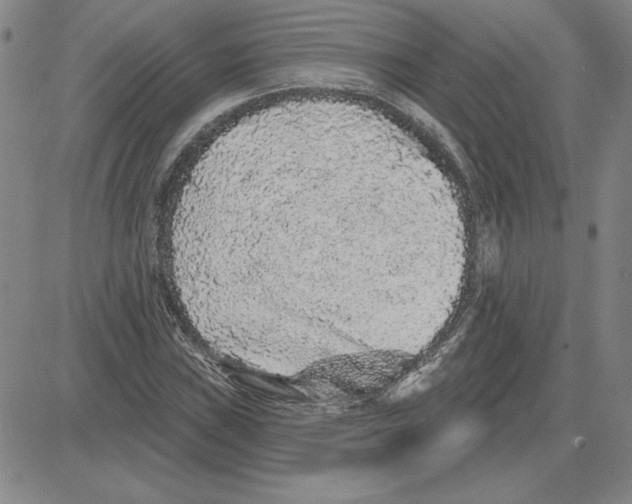 X0000080101019200701051259