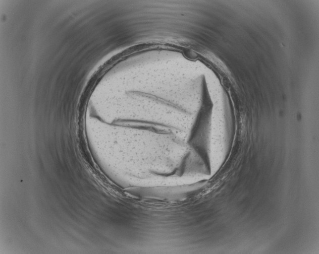 X0000080101020200701051259