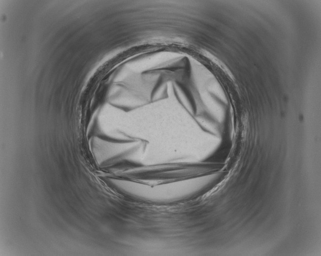 X0000080101021200701051259