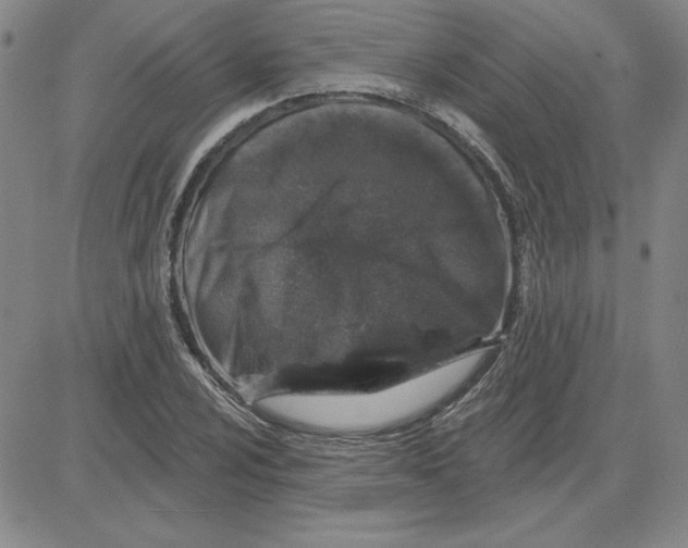 X0000080101024200701051259