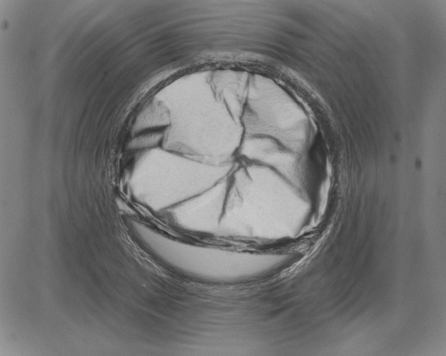 X0000080101025200701051259