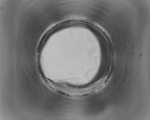 X0000080101029200701051259