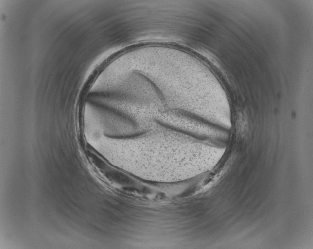 X0000080101030200701051259
