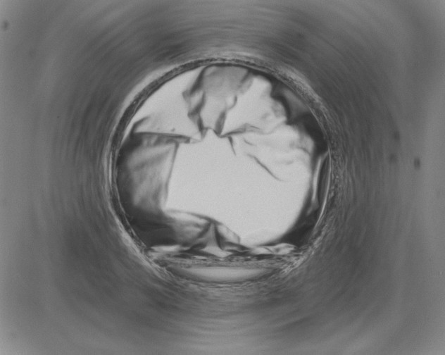 X0000080101032200701051259
