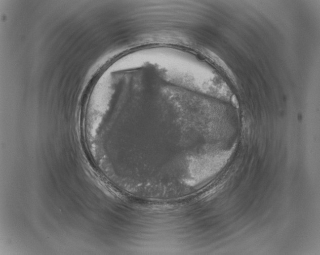 X0000080101035200701051259