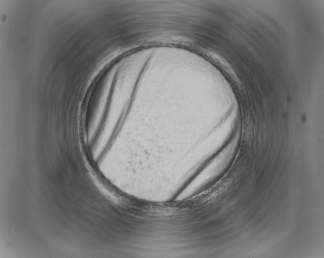 X0000080101039200701051300