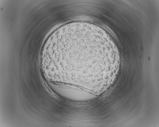 X0000080101044200701051300