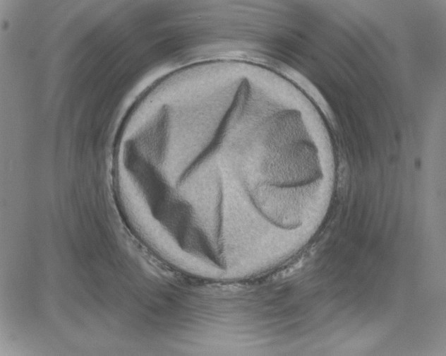 X0000080101051200701051300