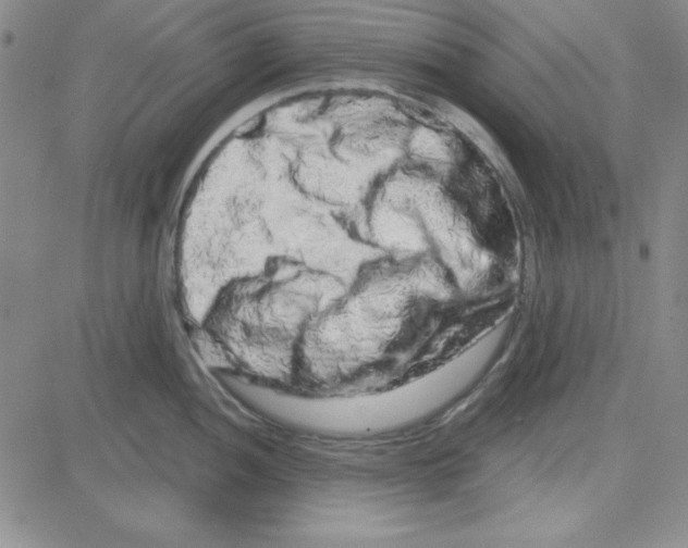 X0000080101052200701051300