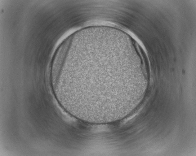 X0000080101053200701051300