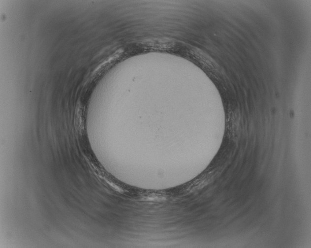 X0000080101058200701051259