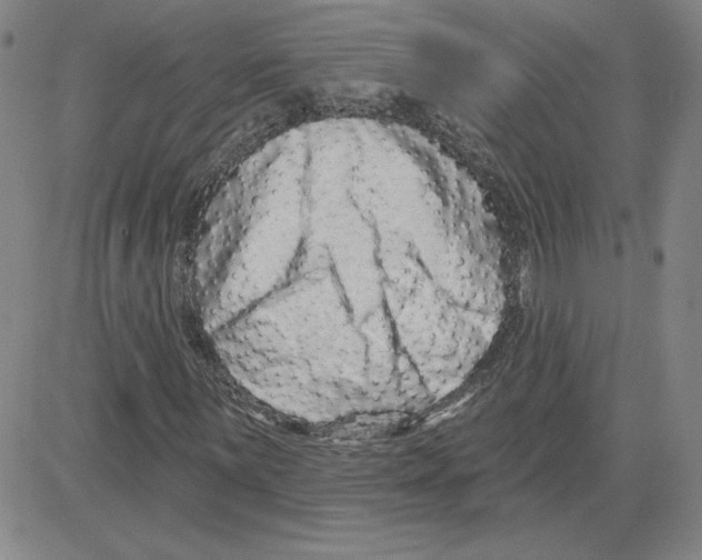 X0000080101059200701051259