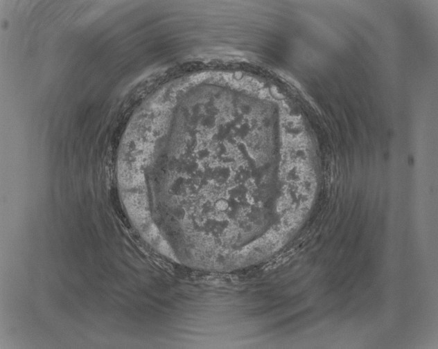 X0000080101063200701051259