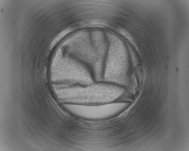 X0000080101066200701051259