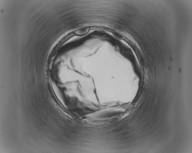 X0000080101068200701051259