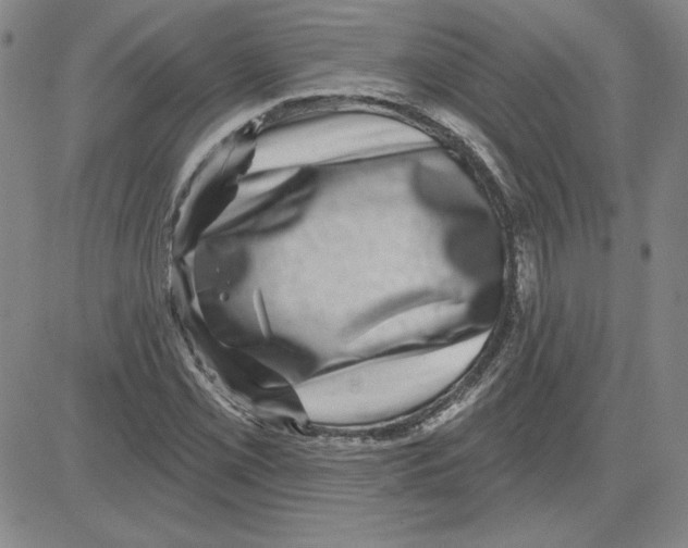 X0000080101069200701051259