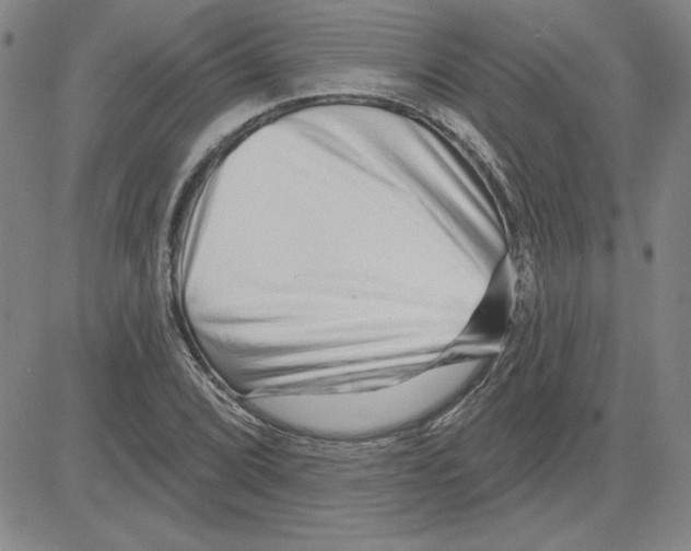 X0000080101072200701051259