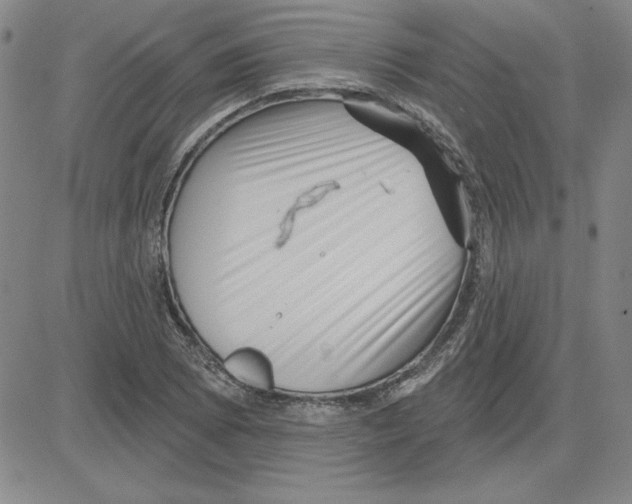 X0000080101073200701051259
