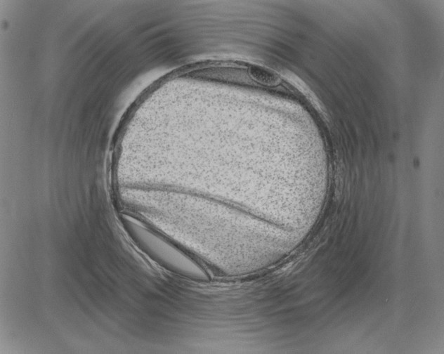 X0000080101076200701051259