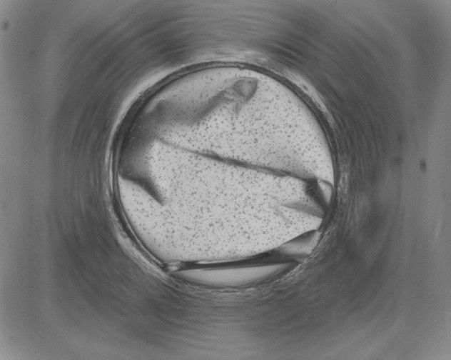 X0000080101080200701051259
