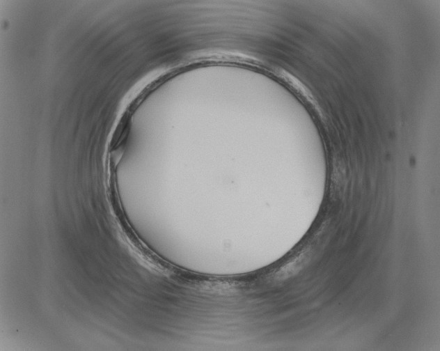 X0000080101082200701051259