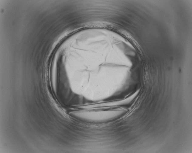 X0000080101083200701051259