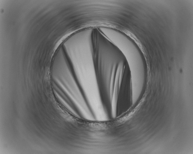 X0000080101089200701051259