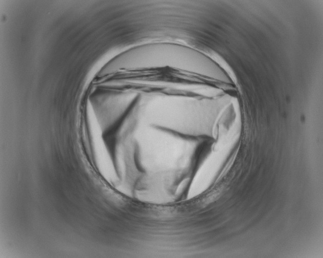 X0000080101096200701051258