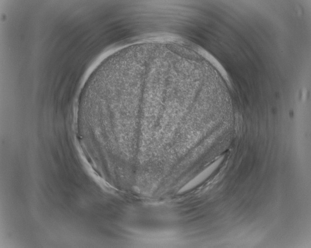 X0000080101099200701051258