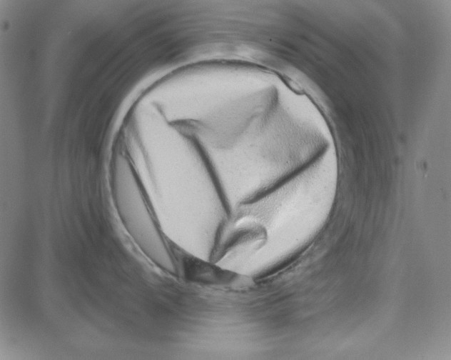 X0000080101104200701051258