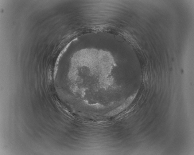 X0000080101106200701051258